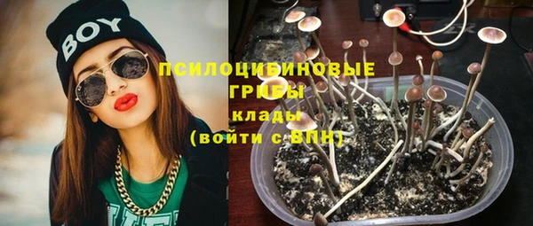 сатива Алзамай