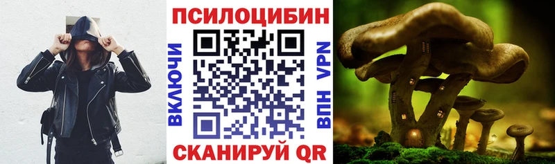 Галлюциногенные грибы Psilocybine cubensis Чайковский