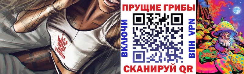 Псилоцибиновые грибы ЛСД  Чайковский 